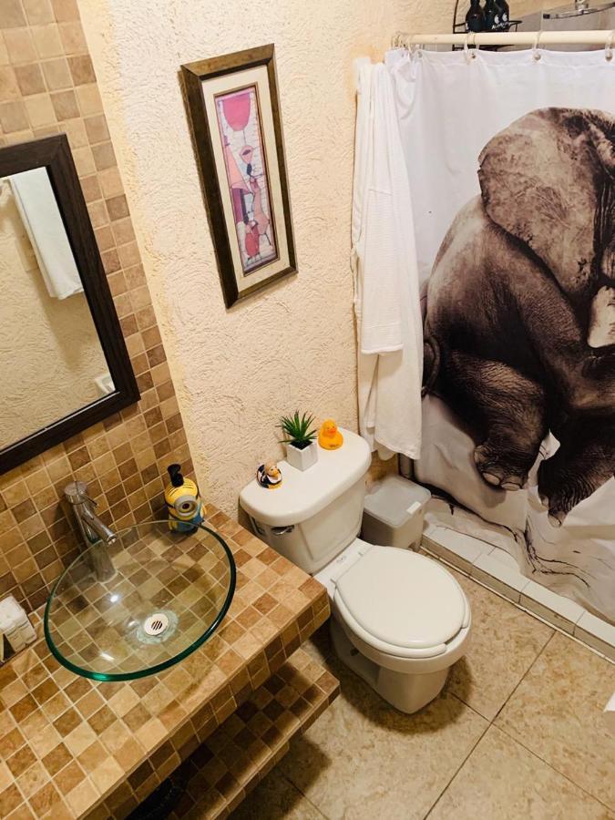 칸쿤 Franks House "Shared House" 아파트 외부 사진
